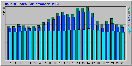 Hourly usage for November 2023